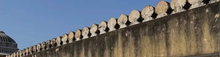 Primaliance