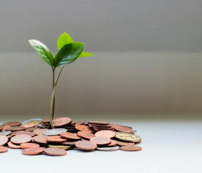 primaliance