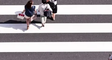 Primaliance